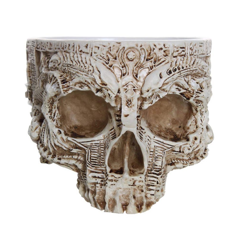ChezMax Skull Planter Suger Holder Resin Flower Succulents Pot Skeleton Flowerpot Candy Bowl Halloween Dish Statue Sculpture Skeleton Indoor Outdoor Decoration - Image 5